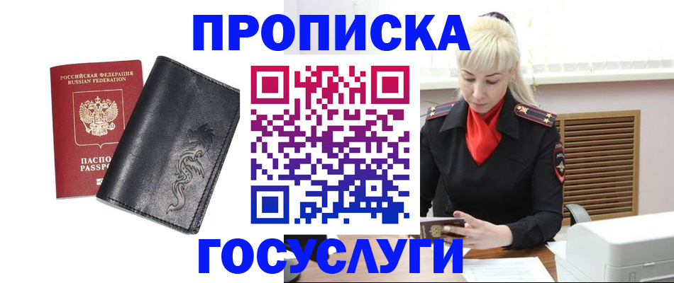 прописка поиск в Тереке